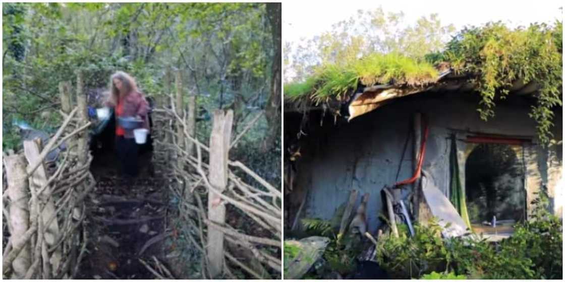 They all left home: 4 weird individuals who abandoned their cozy homes to live in the wild with no light and internet They all left home: 4 weird individuals who abandoned their cozy homes to live in the wild with no light and internet
