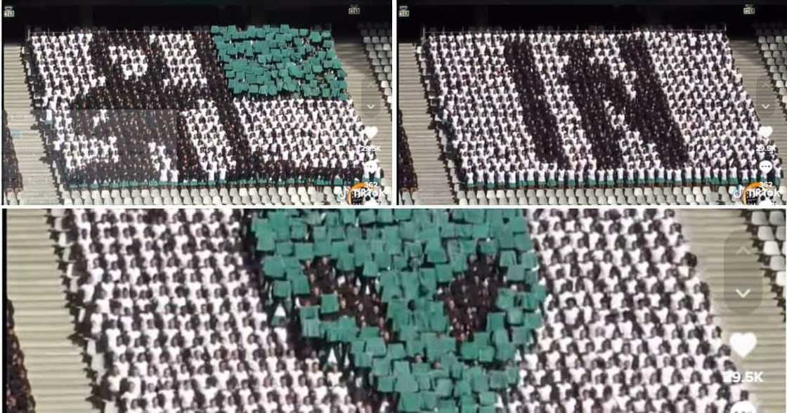 Stellenberg cheer routine