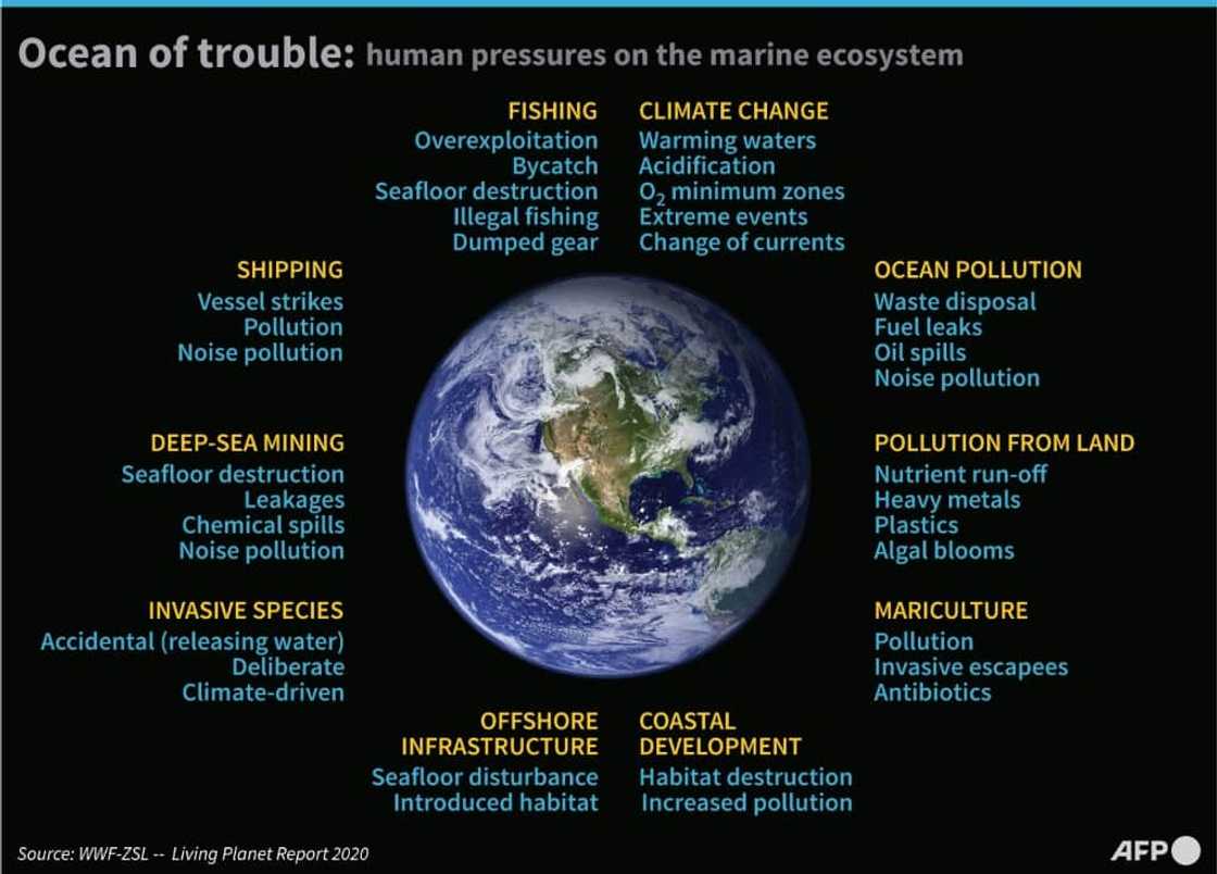 Nearly 100 nations support a provision that would see 30 percent of the planet's land and ocean designated as protected areas