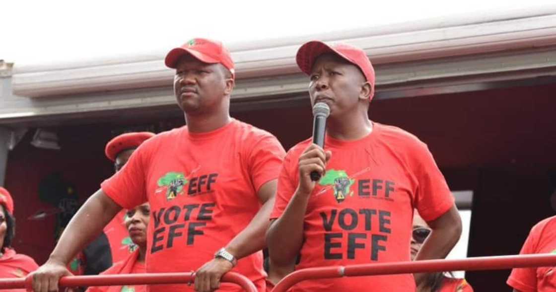 EFF demands Vredenburg Primary School principal be suspended for "racist" comment EFF demands Vredenburg Primary School principal be suspended for "racist" comment