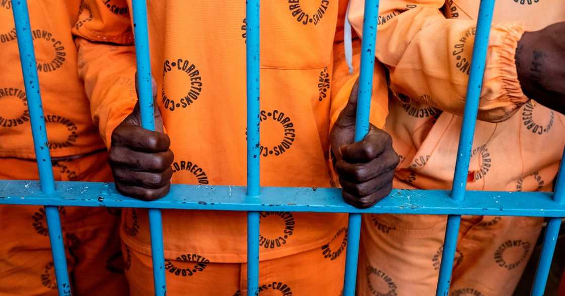 Members of Parliament, Jacob Zuma, arrest, prison riot, prison break, Department of Correction Services, Estcourt Correctional Services Members of Parliament, Jacob Zuma, arrest, prison riot, prison break, Department of Correction Services, Estcourt Correctional Services