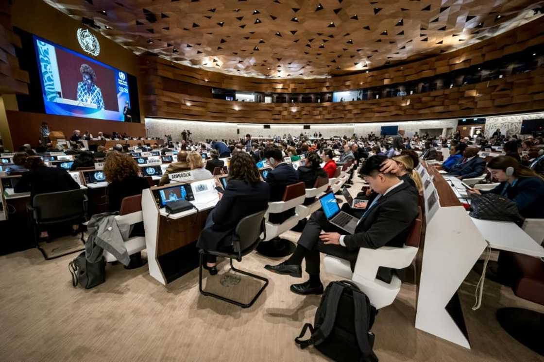The 77th World Health Assembly is being held at the Palace of Nations in Geneva The 77th World Health Assembly is being held at the Palace of Nations in Geneva