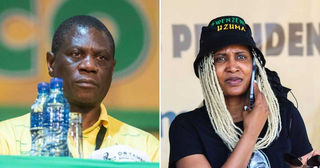 Paul Mashatile_Duduzile Zuma-Sambudla