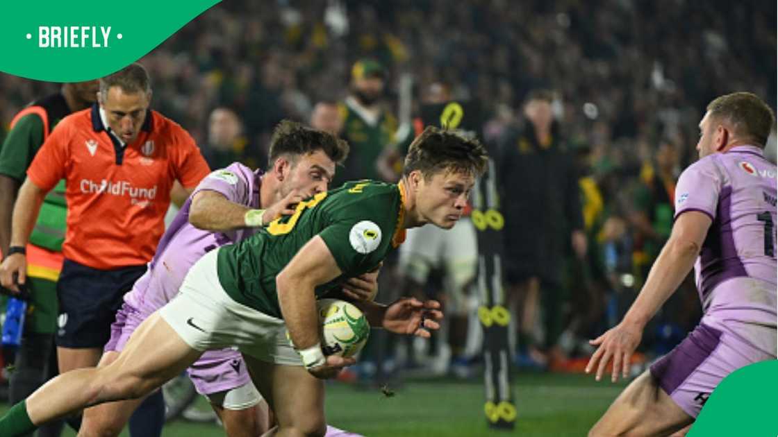 Springboks, South Africa, Quan Horn, Nations Championship Springboks, South Africa, Quan Horn, Nations Championship