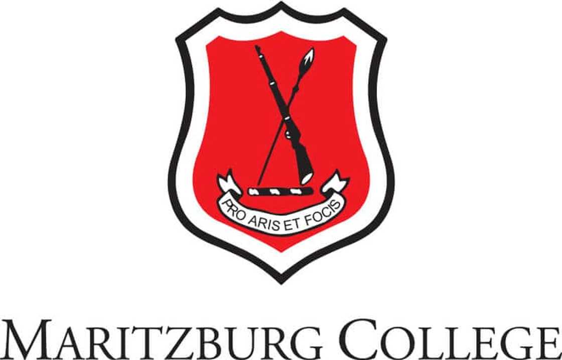 best schools in south africa