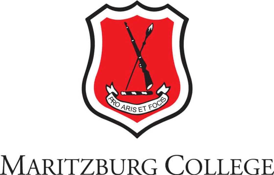 best schools in south africa best schools in south africa