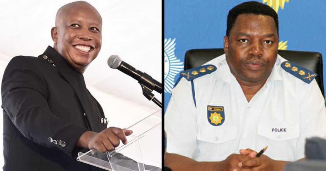 Police commissioner, General Fannie Masemola, Julius Malema, Minister of Police, Bheki Cele, Politician, crime, legal, illegal Police commissioner, General Fannie Masemola, Julius Malema, Minister of Police, Bheki Cele, Politician, crime, legal, illegal