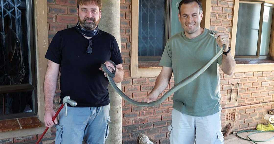 Nick Evans, 5 Black Mambas Nick Evans, 5 Black Mambas