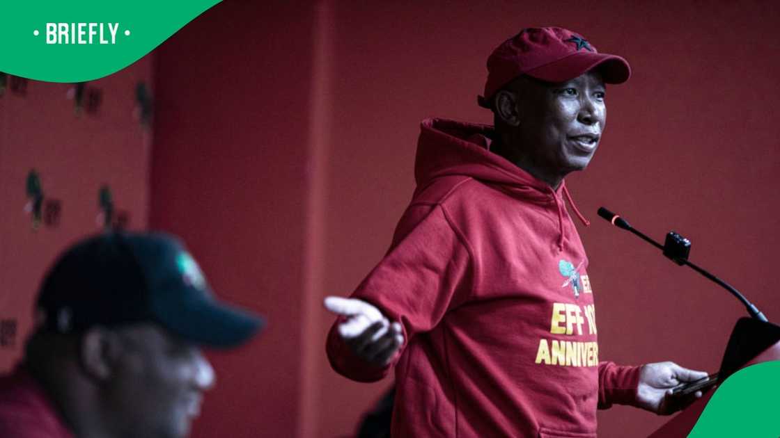Julius Malema said he would not be bullied Julius Malema said he would not be bullied
