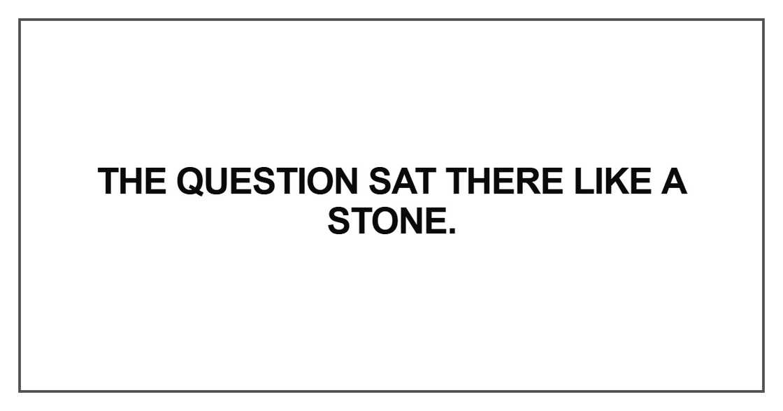 The question sat there like a stone The question sat there like a stone