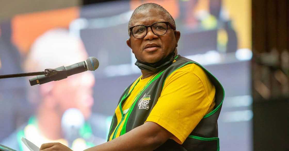 Transport Minister Fikile Mbalula Transport Minister Fikile Mbalula