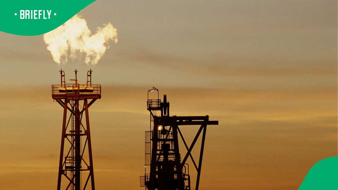 Earthlife Africa Celebrates Africa Day to Accelerate the Energy Just Transition Earthlife Africa Celebrates Africa Day to Accelerate the Energy Just Transition