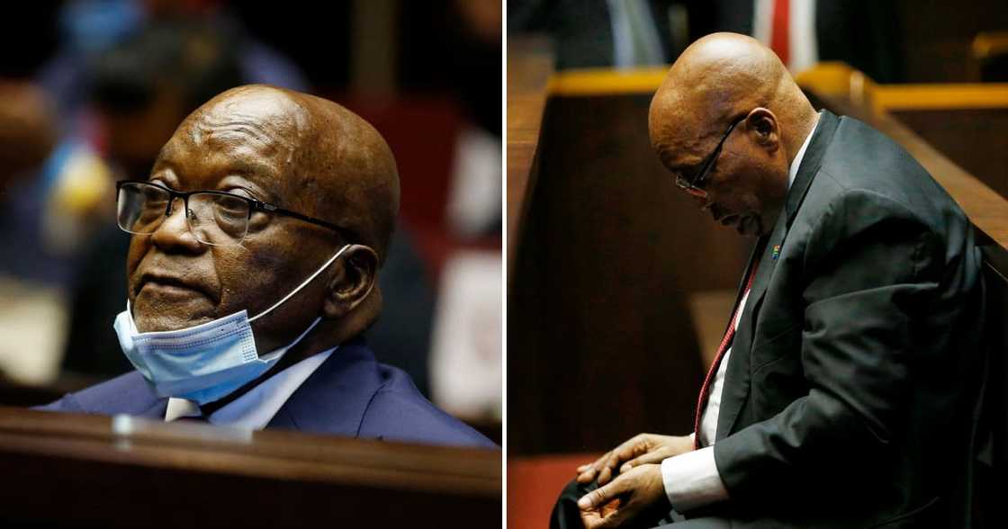 Former President Jacob Zuma, Supreme Court of Appeal Bid, Billy Downer, lead prosecutor, arms deal Former President Jacob Zuma, Supreme Court of Appeal Bid, Billy Downer, lead prosecutor, arms deal
