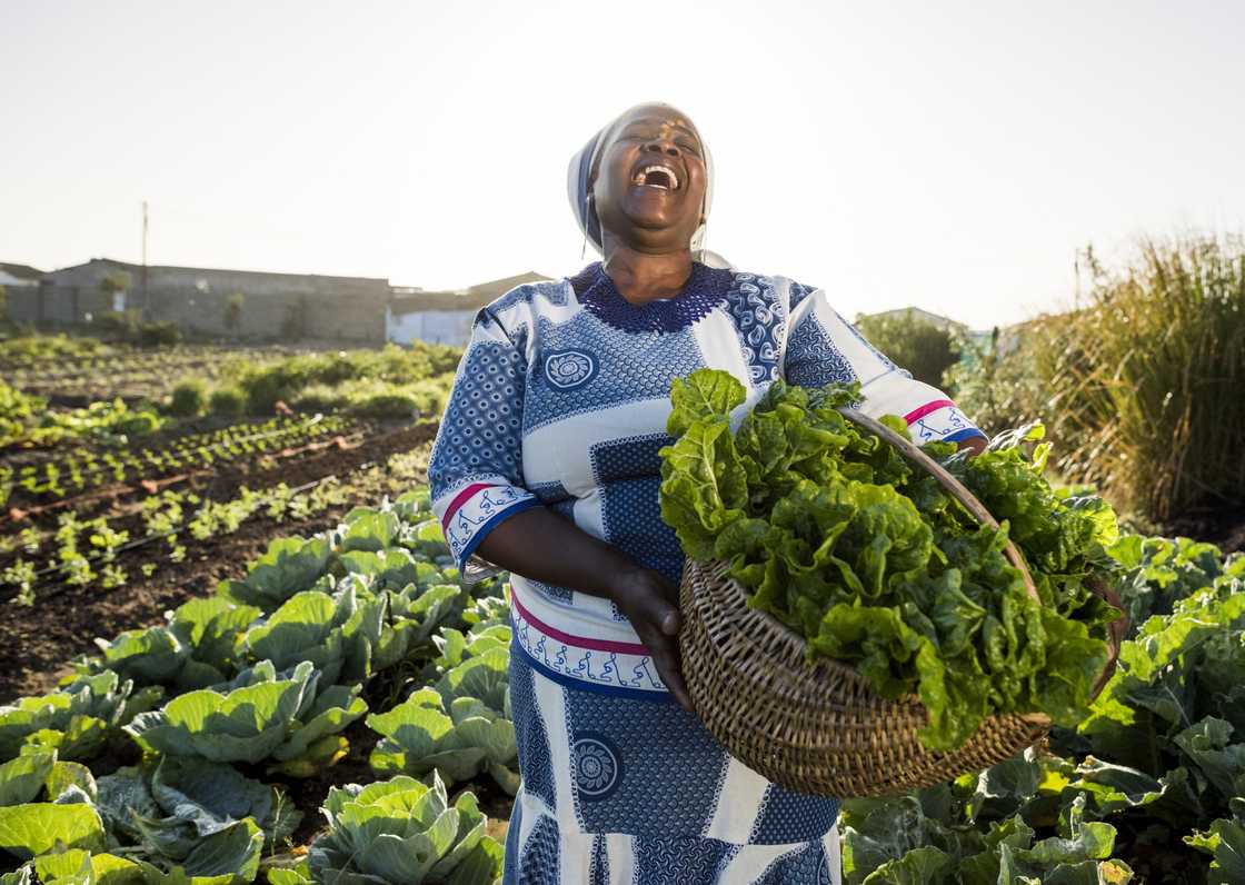 Through the African Continental Free Trade Agreement, South Africa has traded goods including fresh produce Through the African Continental Free Trade Agreement, South Africa has traded goods including fresh produce