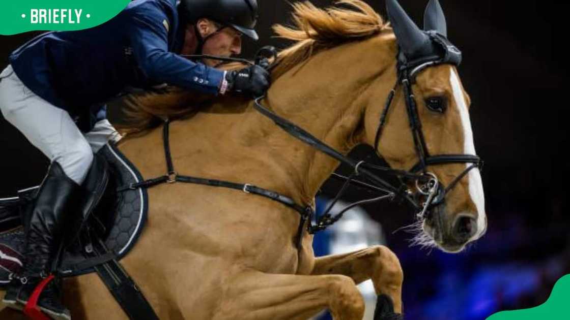 Rider Hans-Dieter Dreher in action