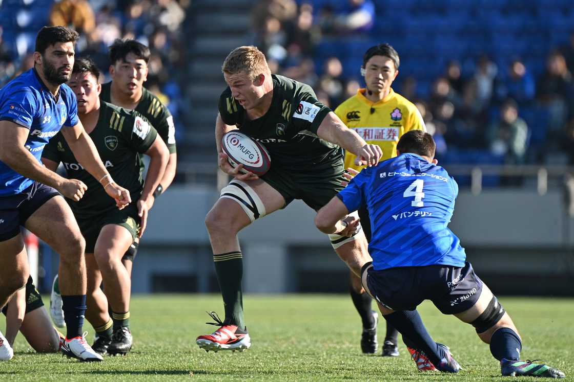 Springboks, South Africa, Pieter Steph du Toit, Toyota Verblitz Springboks, South Africa, Pieter Steph du Toit, Toyota Verblitz