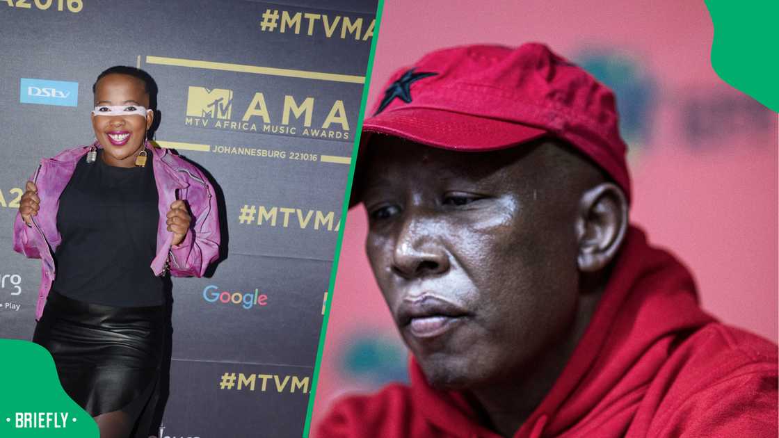 Netizens dragged Ntsiki Mazwai after she threw shots at Julius Malema