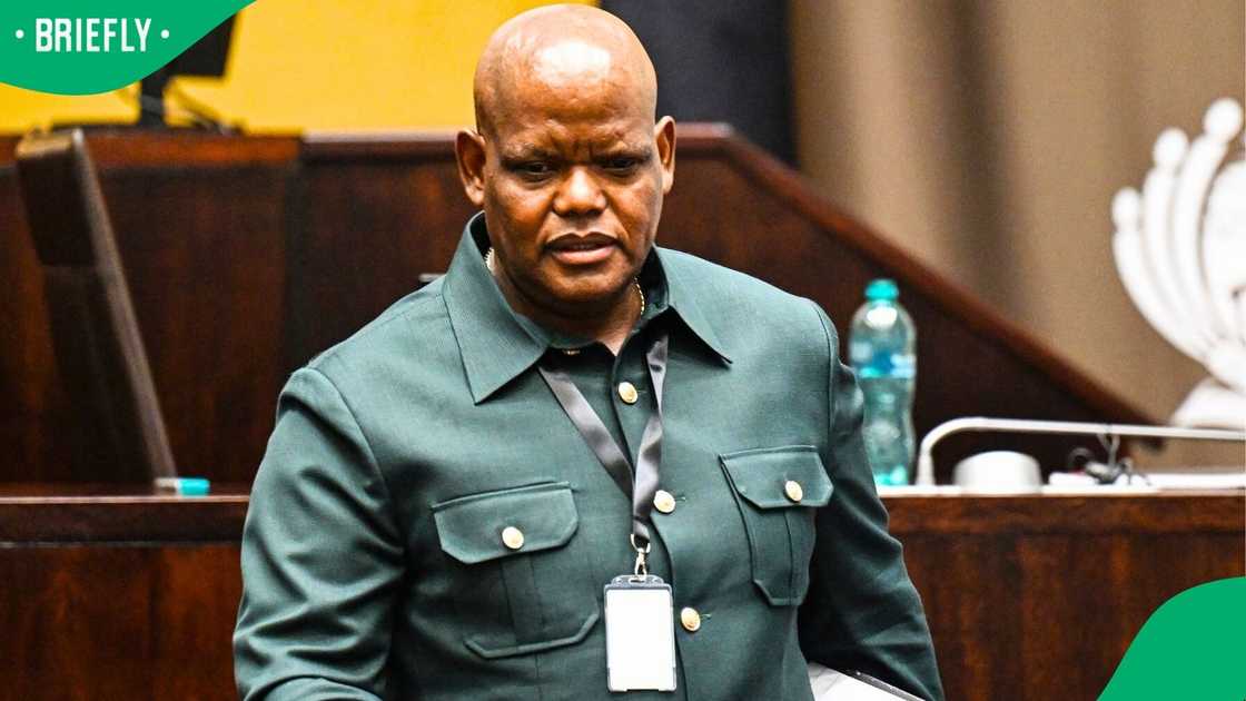 Khomotso Phahlane, the former acting National Commissioner of the South African Police Service (SAPS)