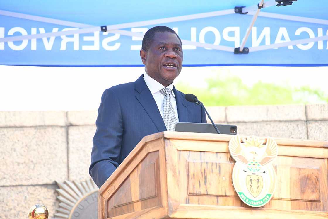 Deputy President Paul Mashatile's children have been linked to tenders worth over R91 million