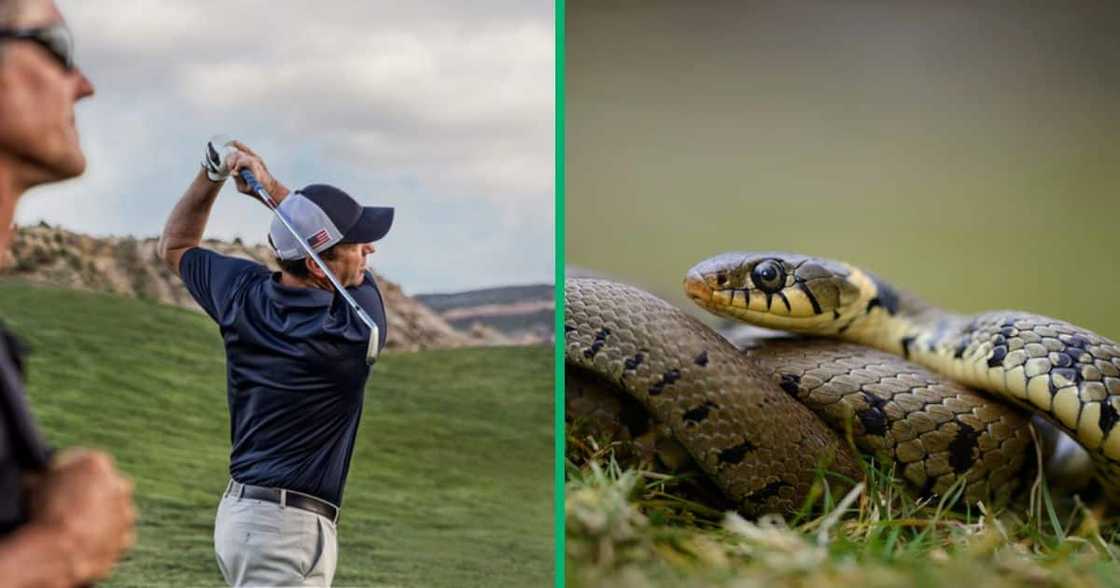 A TikTok video of men running away from a fake snake has gone viral, leaving netizens in stitches. A TikTok video of men running away from a fake snake has gone viral, leaving netizens in stitches.