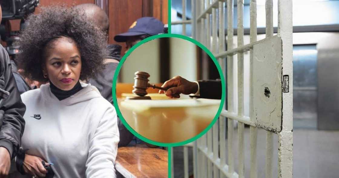 Dr Nandipha Magudumana is heading back to the Bloemfontein High Court to apply for bail. Dr Nandipha Magudumana is heading back to the Bloemfontein High Court to apply for bail.