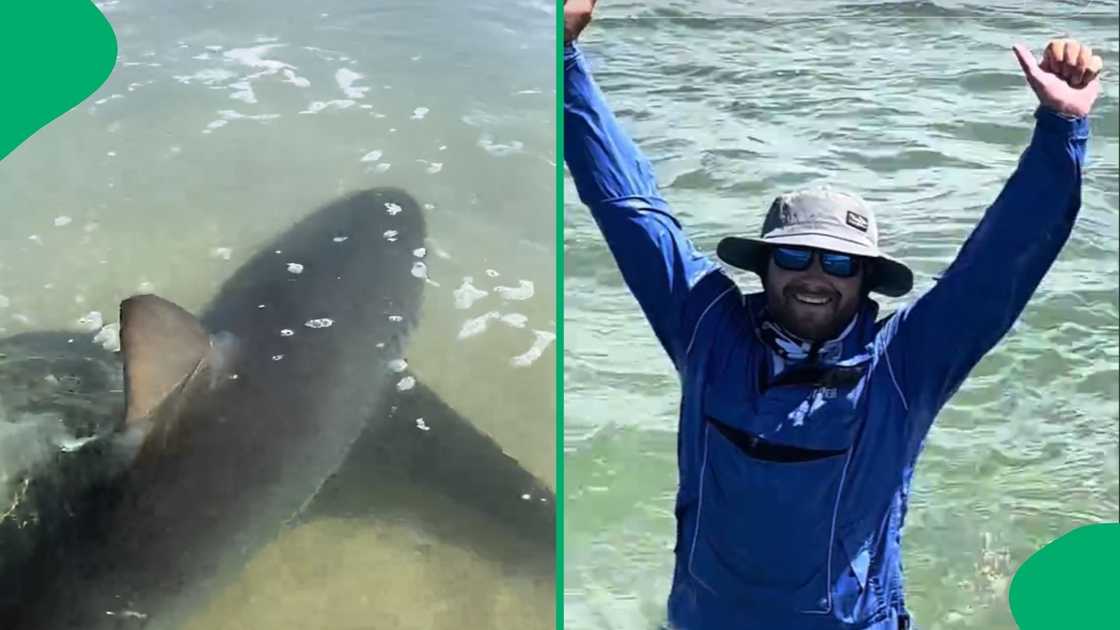 Social media users were concerned after seeing a shark in Gqeberha Social media users were concerned after seeing a shark in Gqeberha