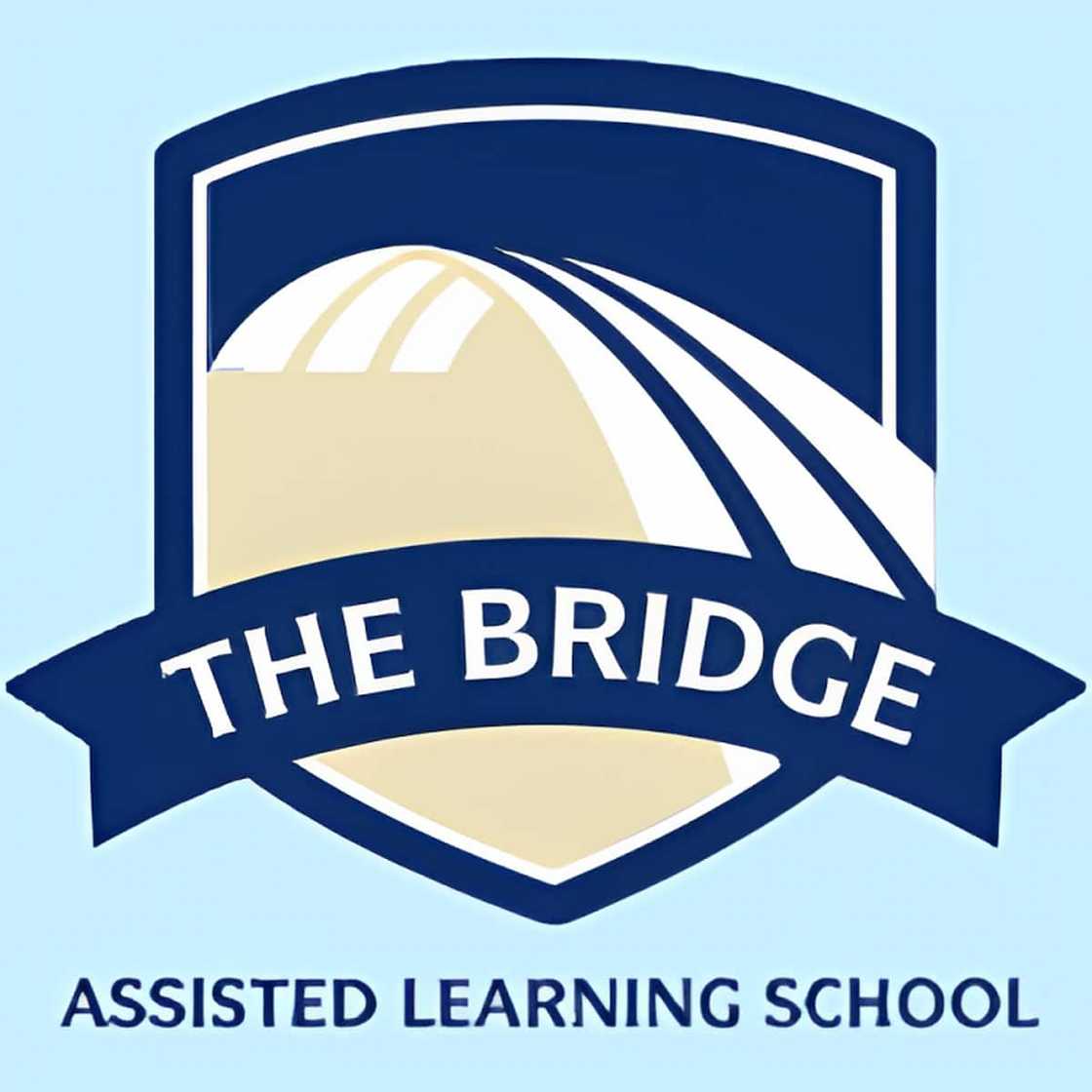 military schools for troubled youth military schools for troubled youth