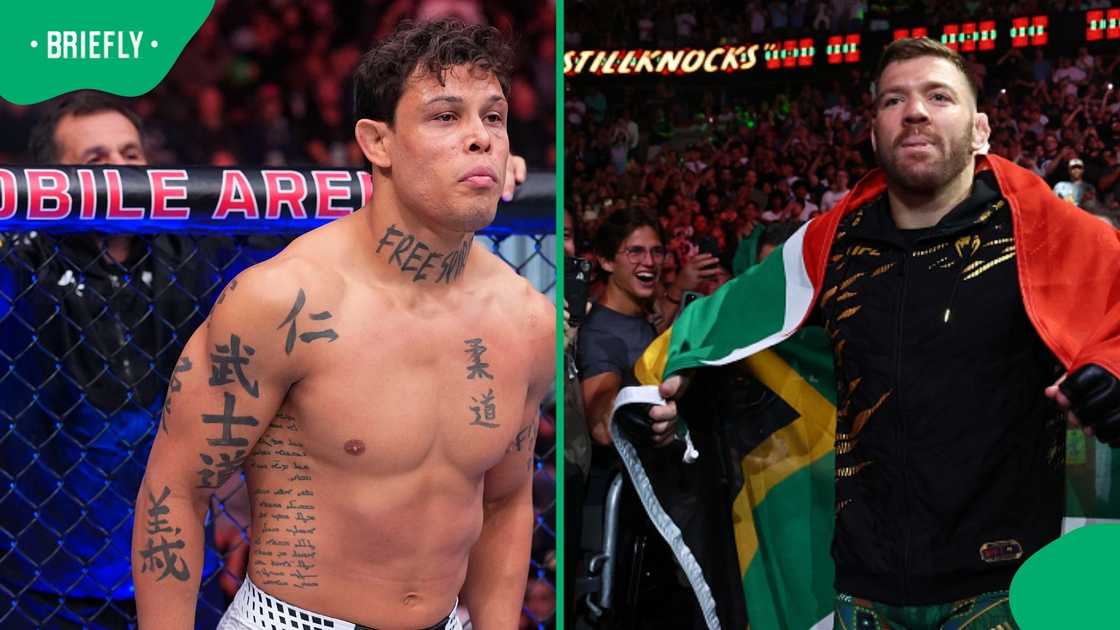 Dricus Du Plessis, Caio Borralho, MMA, UFC, South Africa