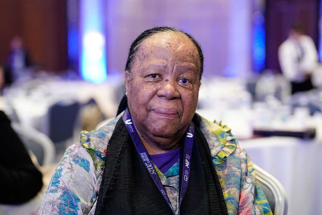 Naledi Pandor recently criticised the ANC leadership Naledi Pandor recently criticised the ANC leadership