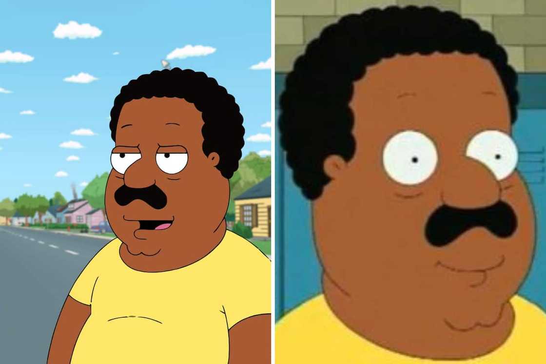 Cleveland Brown Cleveland Brown