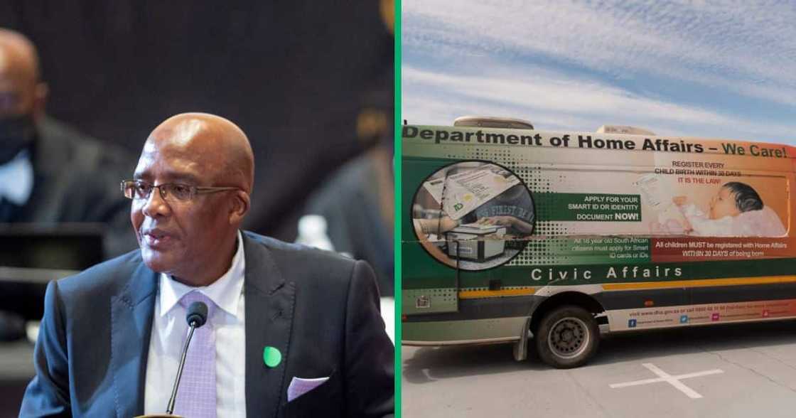 Home Affairs minister Aaron Motsoaledi spoke out against the spousal visa backlogs