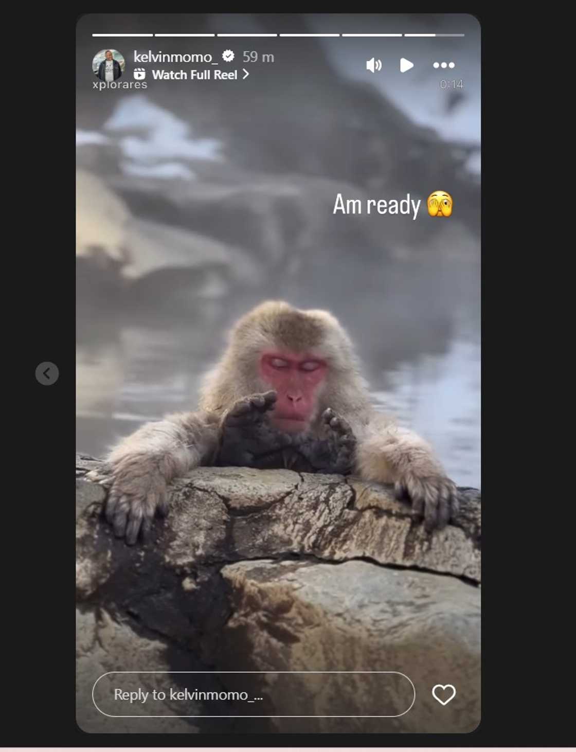 Kelvin Momo responds to speculation he's headlining Red Bull Symphonic Orchestra 2025 Kelvin Momo responds to speculation he's headlining Red Bull Symphonic Orchestra 2025