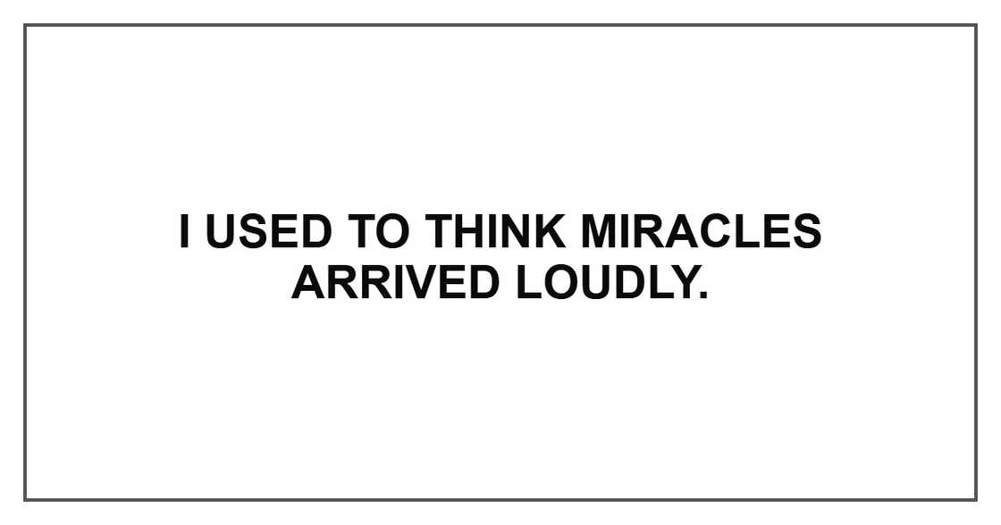 I used to think miracles arrived loudly. I used to think miracles arrived loudly.