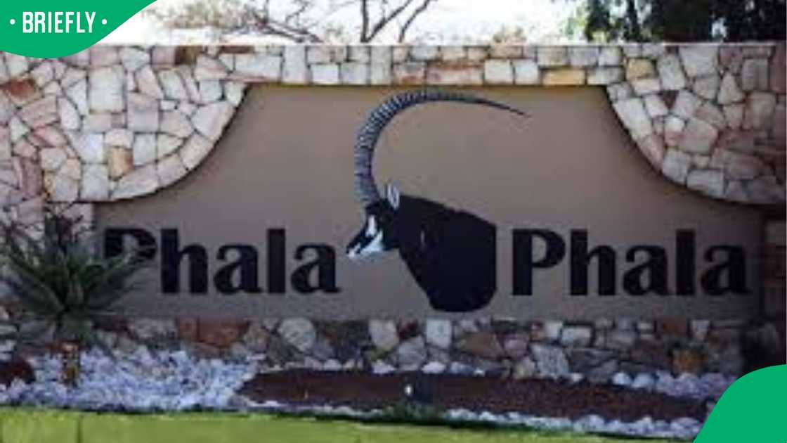 Phala Phala Phala Phala