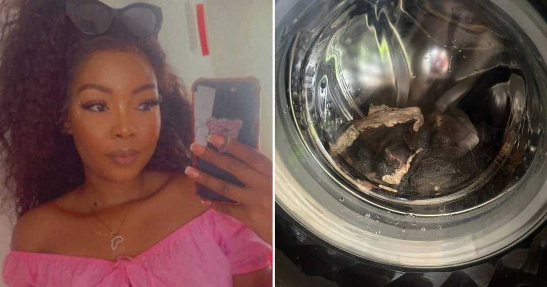 Video of mogodu in the washing machine Video of mogodu in the washing machine