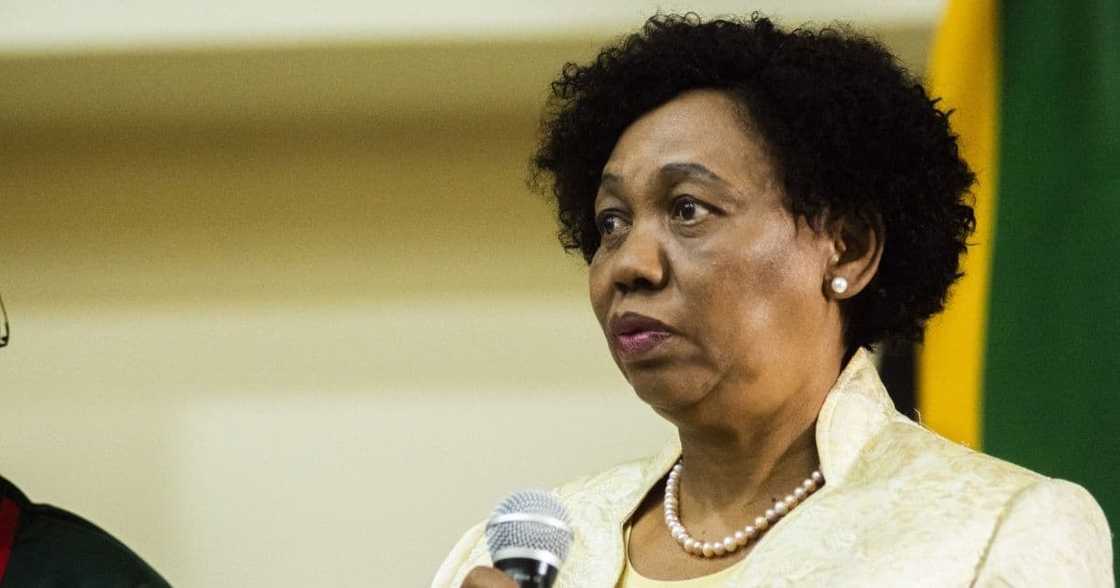 Angie Motshekga, basic education, minister, new school dates