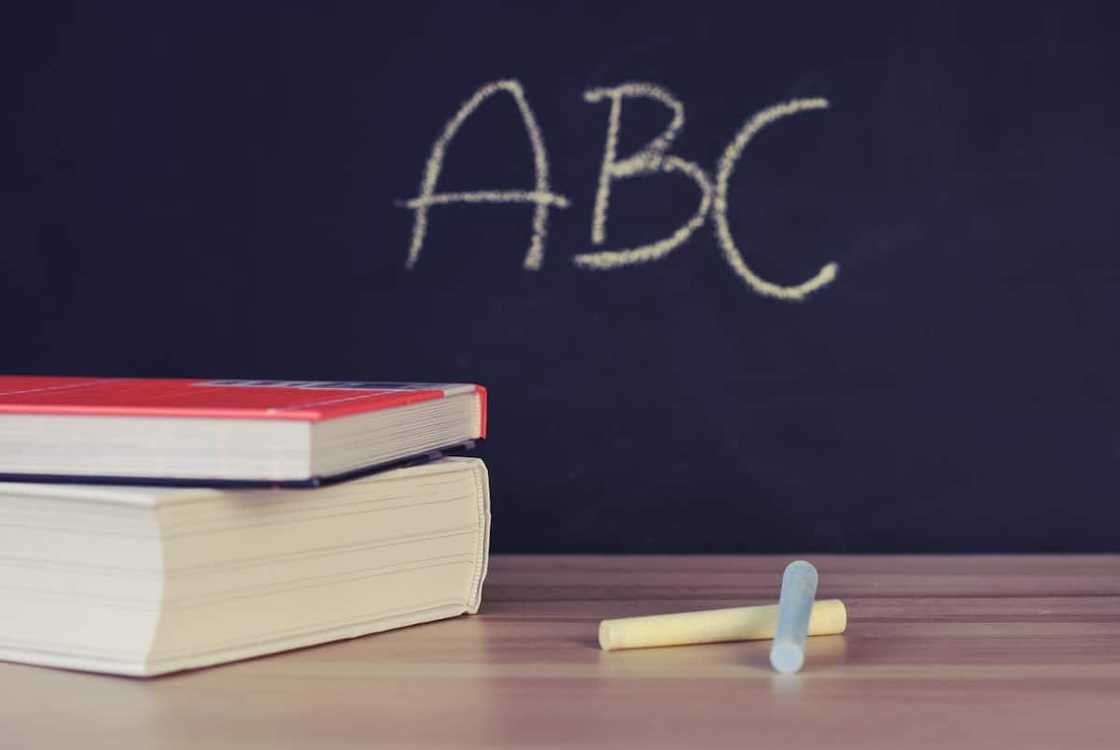 South African School act South African School act