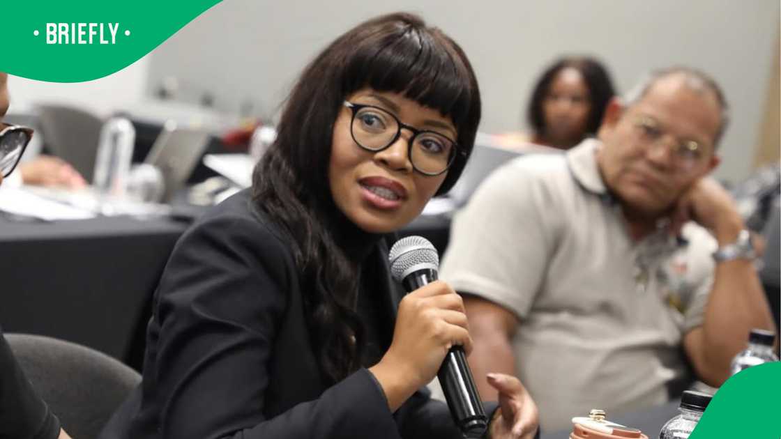 Sol Phenduka and Sizwe Dhlomo reacted after BOSA announced Ayanda Allie's termination.
