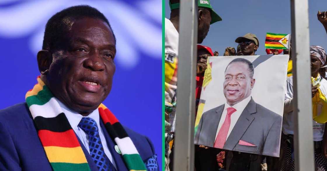Analyst warmed of an uprising in Zimbabwe Analyst warmed of an uprising in Zimbabwe