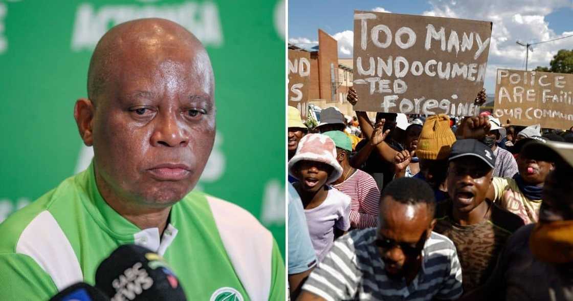 Herman Mashaba, ActionSA, denies creating environment leading to killing of Zimbabwean Elvis Nyathi, Diepsloot, DA, Jonathan Jansen Herman Mashaba, ActionSA, denies creating environment leading to killing of Zimbabwean Elvis Nyathi, Diepsloot, DA, Jonathan Jansen