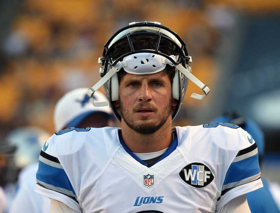Dan Orlovsky's career Dan Orlovsky's career