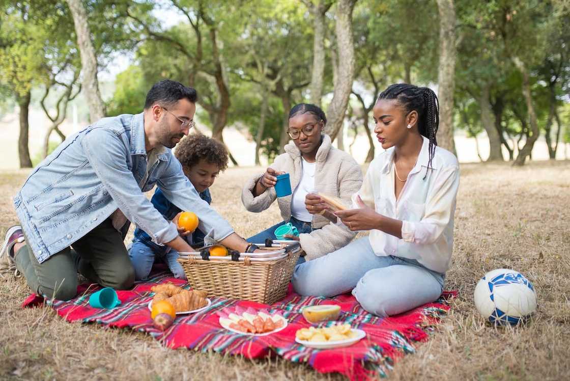 picnic spots with swimming pools in johannesburg