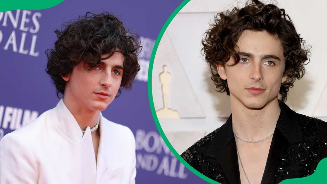 Timothee Chalamet attends the "Bones & All" premiere during the 66th BFI London Film Festival and he attends the "Bones & All" premiere during the 66th BFI London Film Festival