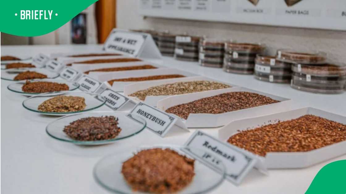 The rooibos are lined up for customers to select