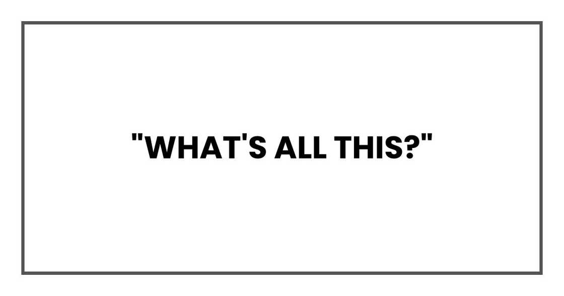 "What's all this?"