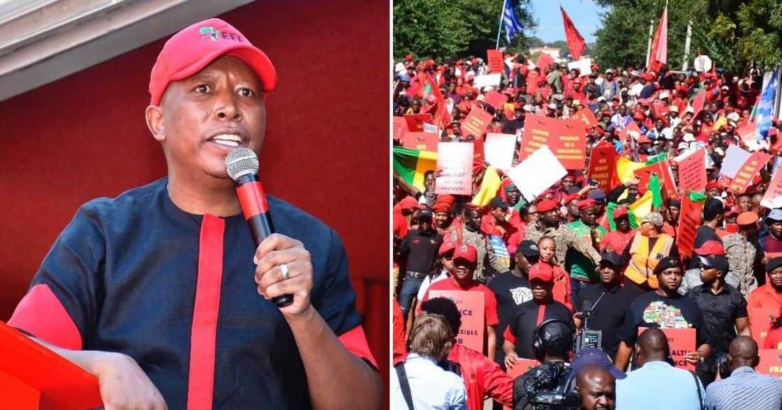 EFF, praise, protests, provinces, different issues, Namhla Mtwa, Africa Day, GBV, France EFF, praise, protests, provinces, different issues, Namhla Mtwa, Africa Day, GBV, France