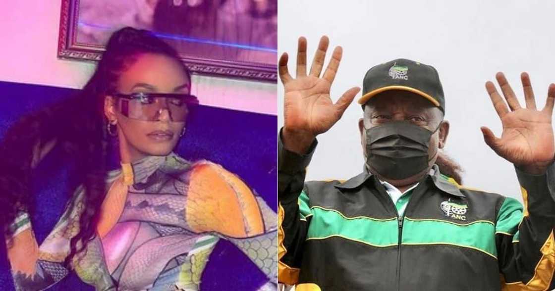 Pearl Thusi, scathing attack, ANC, elections Pearl Thusi, scathing attack, ANC, elections