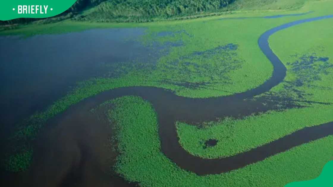 Aerial view of the Amur River Aerial view of the Amur River