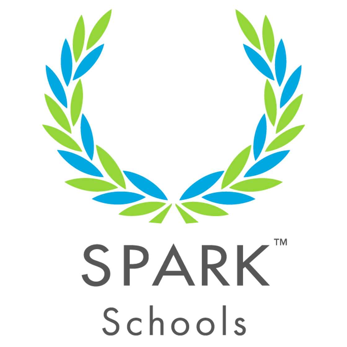 Spark schools fees 2022 Spark schools fees 2022
