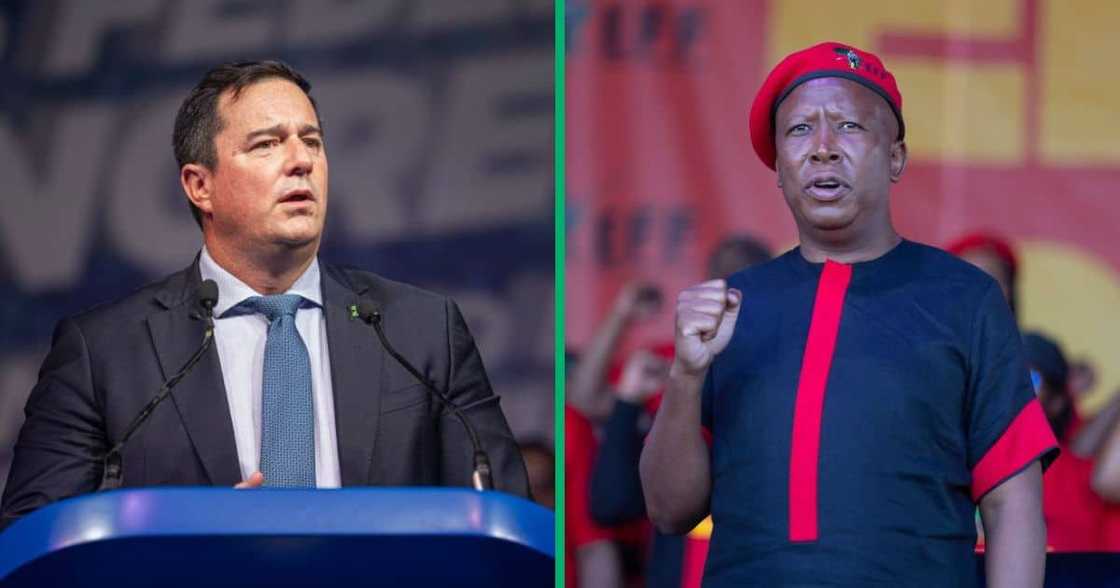 DA Leader John Steenhuisen has taken aim at EFF leader Julius Malema for chanting ‘kill the boer’ during the 10th-anniversary celebration